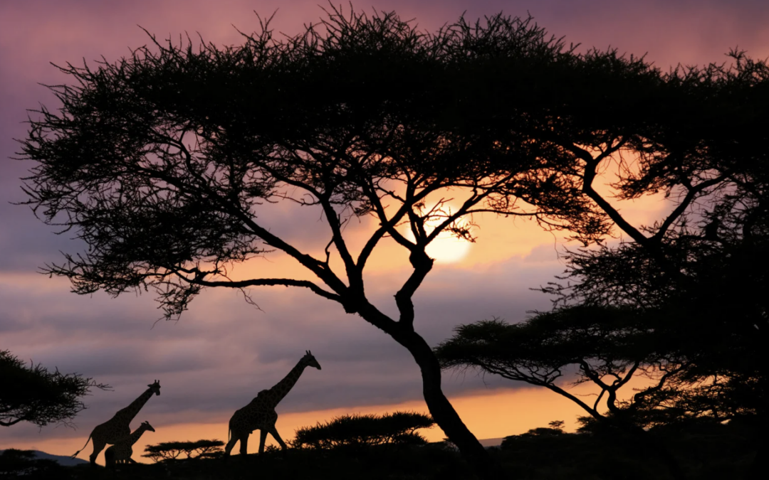 Top Darecations to Take in 2026